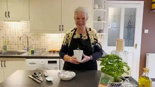 Mum's Mondays- Baked cod with a pesto crust