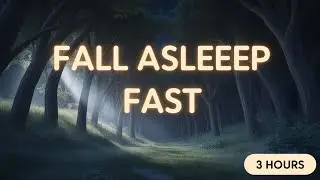 Night Walk Through a Sleeping Forest | 3 Hours to Fall Asleep