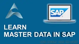 Master Data in SAP
