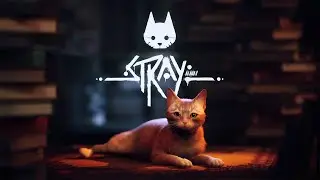 STRAY PS5 Walkthrough Gameplay - Chapter 7 & 8 - All Memories and Collectables