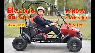 Wholesale Best Price New 1200W 2 Seater Electric Go Kart Buggy from China Factory