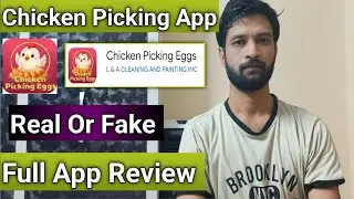 Chicken Picking Egg Real Or Fake|Chicken Picking App Full Review In Hindi 