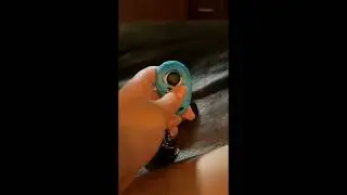 Dog Training Made Easy | Pet Training Clicker with Wrist Strap Review