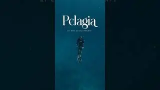Pelagia by BNW Developments | The perfect real estate investment