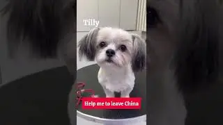 Tilly
