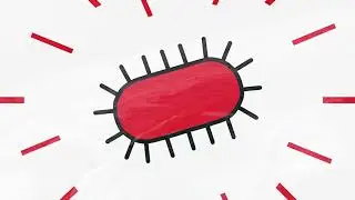 DeNovocastrians Project Summary