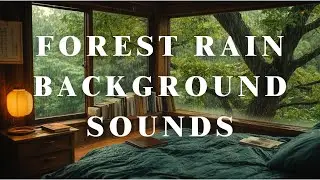Forest Rain Background Sounds | Nature Ambience for Deep Sleep and Mood Enhancement