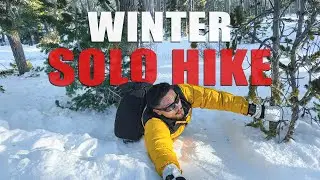 Is Mt. Charleston Summit Possible in Winter? Found Out the Hard Way