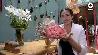 D Todo - Restaurante de hongos Tencüi (03/08/2023)