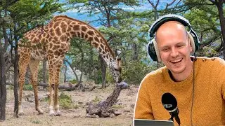 La communication (sincère?) des parcs zoologiques