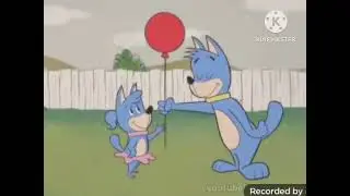 Bluey intro (1962)