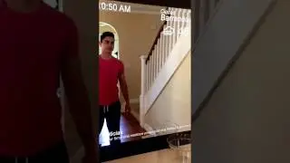 bluePanda una manera sencilla de ver la vida