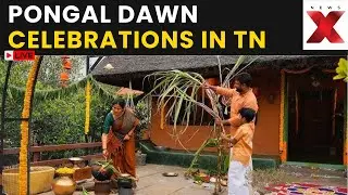 Pongal 2026 Celebrations LIVE: Dawn Celebrations Light Up Urban Streets in Thoothukudi | NewsX