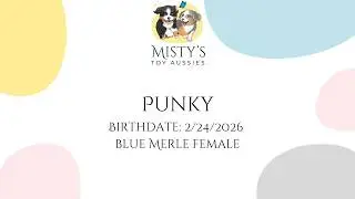 Punky
