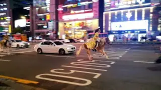 Halloween Gangnam Seoul 2021, Nightwalk in Gangnam