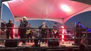 GRUPO TOPPAZ - la vaca morada