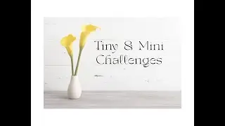 Tiny & Mini Savings Challenge/1.5k Binder/Personal Savings💚 (#115)