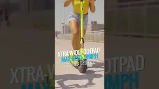 Top dog electric scooter: Hover-1 Alpha. 450W motor, 18mph, 12-mile range.