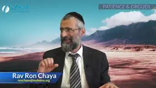 Patience vs Orgueil : le combat du siècle - Rav Ron Chaya