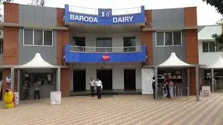 Visit baroda dairy 😋 with friends 🧡 #youtubeshorts #viral #vlog #video 