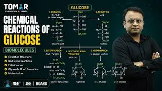 chemical Reactions of glucose/ (Biomolecules - Class 12)/ chemical reactions of glucose