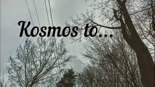 Cosmos is... you.