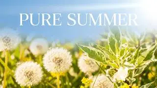 🌿 Relaxing Nature Scenes - Velimir Andreev - Beautiful Summer - Energetic Inspirational Pop Upbeat