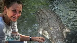 Reviving Malcolm Douglas's animal park with the biggest, baddest crocs of the Kimberley | 7.30