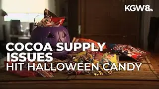 Halloween candy prices rising as cocoa supply issues push costs higher this year