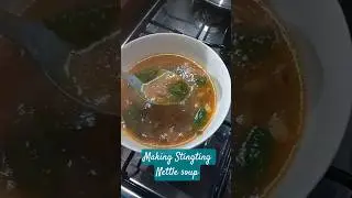 Making Stinging Nettle Soup #gardener #harvest #gardening #stingingnettle #cooking #nettles #food