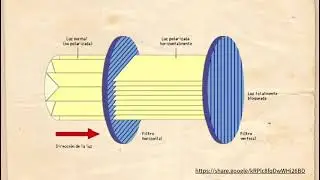 Microscopia &Oacute;ptica 