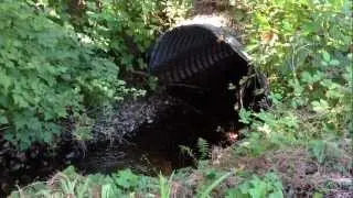 Dickerson Creek