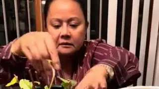 Filipina in NewYork Overwintering Alugbati or Malabar Spinach