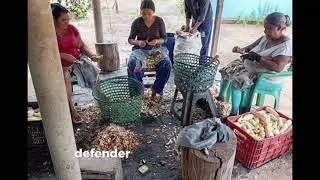 MEIO AMBIENTE NÃO É SÓ FLORESTA