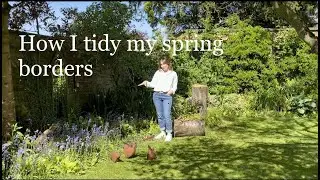 Tidying the spring borders to expose the summer shade plants | Katy at the Manor