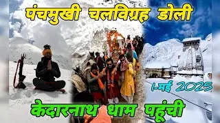 पंचमुखी चलविग्रह डोली 🚩 1- मई 2025 केदारनाथ धाम पहूंची🚩🔱 #mohandaalmorawale #vlog #kedarnath #2025