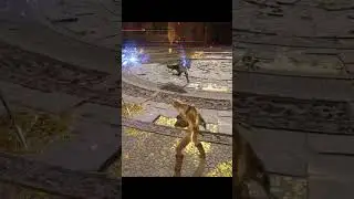 Elden Ring PVP Best Player Does Not Need Armor