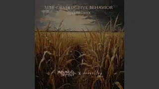 Self-Destructive Behavior (Lo-Fi Remix)