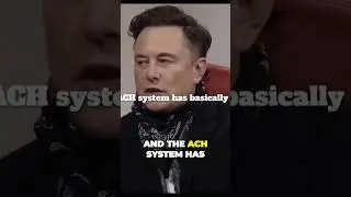 The Flaws With Money Exposed! #secret #money #elonmusk #truth #shorts