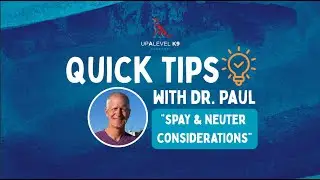 Quick Tips with Dr. Paul // Spay & Neuter Considerations
