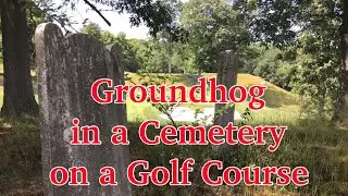 The Official TTT Mediocre Mountain Challenge, Brookville New York