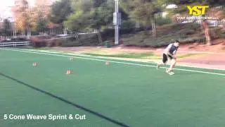 5 Cone Weave Sprint & Cut