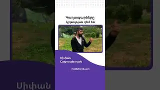 Կաղապարները կրթության դեմ են  #media  #mfe #nosmartphone