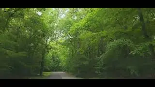 PATUXENT RIVER PARK ROAD