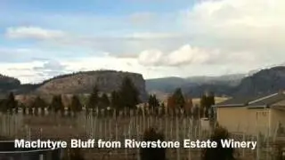 Views From Wine Country