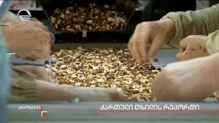 ქართული თხილის რეკორდი