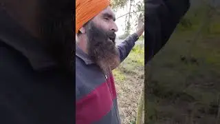 ਮਿੱਟੀ ਲਗਾਉਣ ਨਾਲ ਅਜਿਹਾ ਹੀ ਹੁੰਦਾ,ਭੁੱਲ ਕੇ ਨਹੀਂ ਲਗਾਉਣੀ ਚਾਹੀਦੀ 