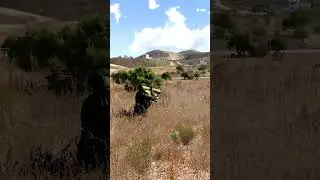Silent Attack #military #army #milsim