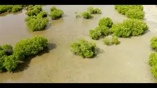 Laamu Hithadhoo Kulhi