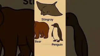🌍THE BIGGEST ANIMALS IN THE WORLD Pt.4☠️ #shorts